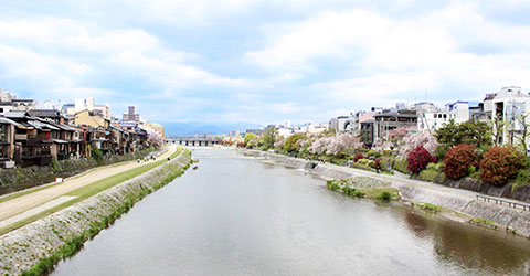 京都で創業50年